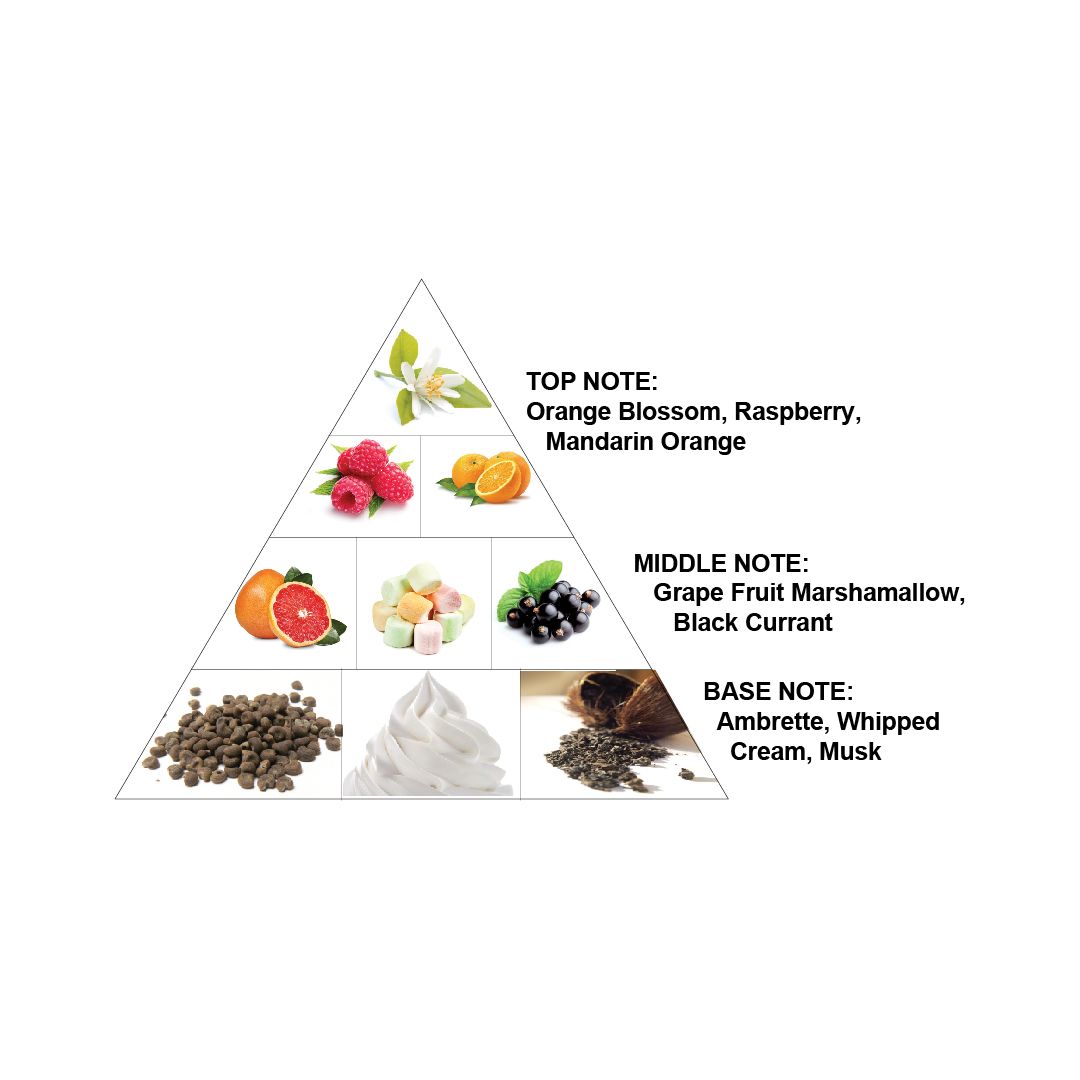 Al Haramain Destino French Collection For Unisex