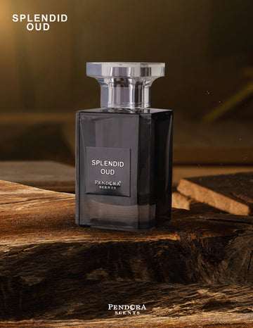Pendora Splendid Oud EDP For Men