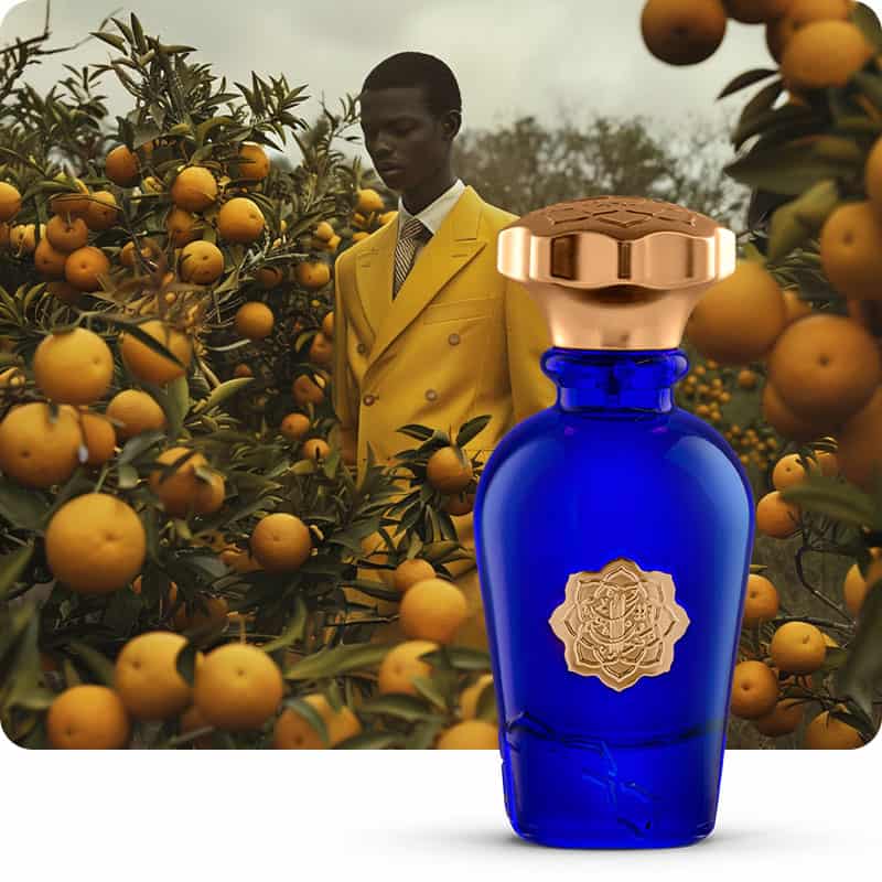 Albait Aldimashqi Terre D Hermes For Men